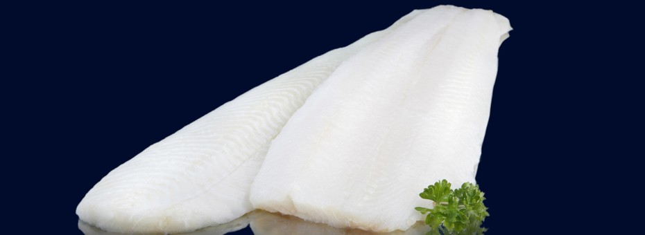 Halibut_Filete