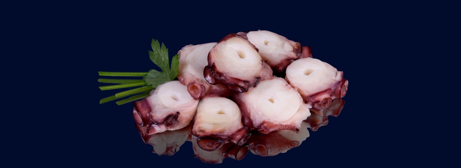 PULPO